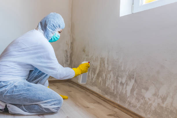Hvac And Air Duct Mold Remediation inspection of HVAC system in Pleasant Hall