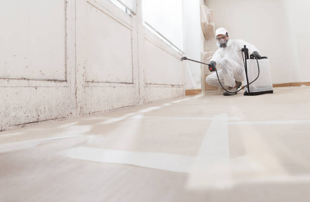 Black mold remediation team in Pleasant Hall